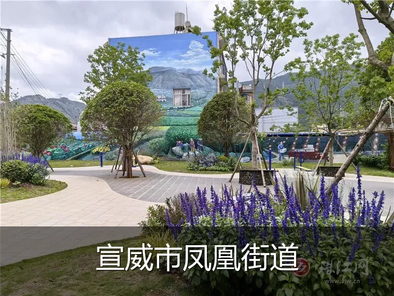 宣威市凤凰街道