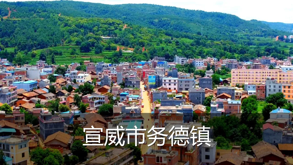 宣威市务德镇
