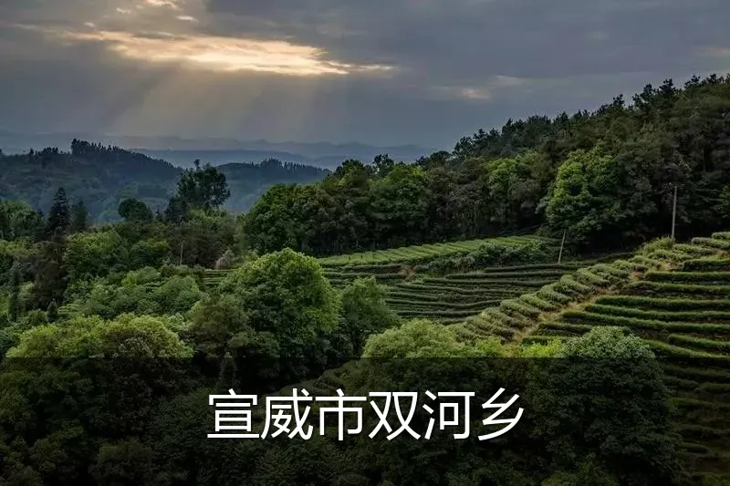 宣威市双河乡