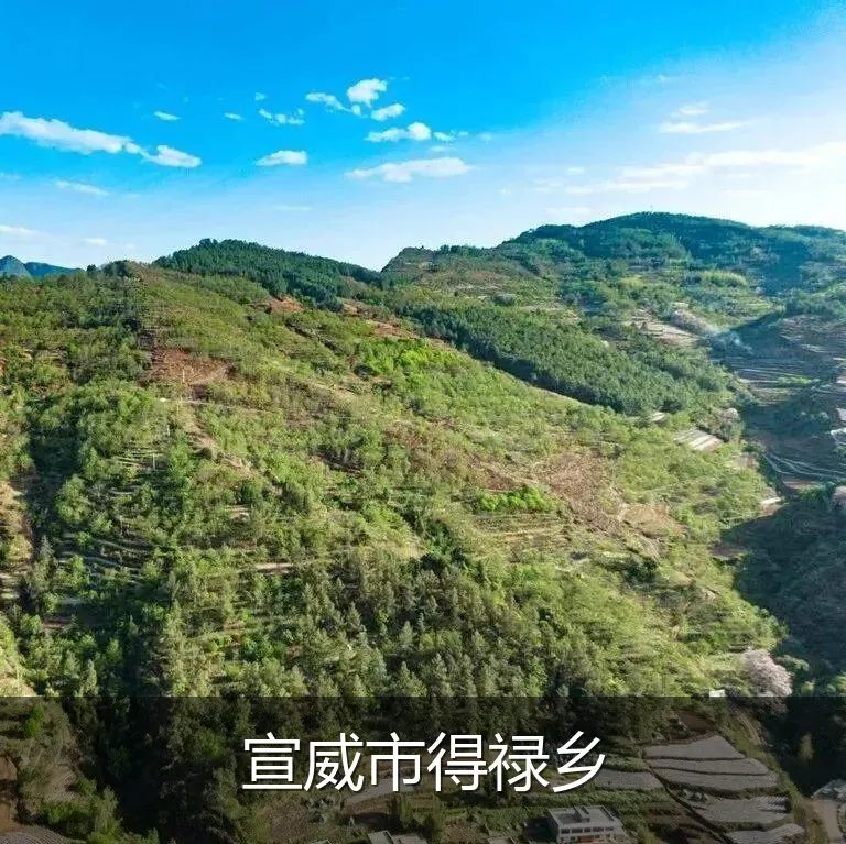 宣威市得禄乡