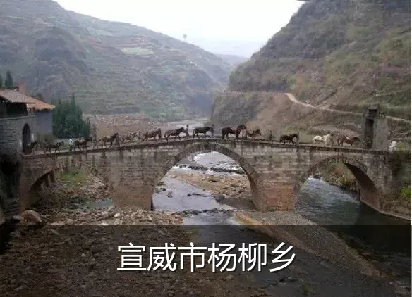 宣威市杨柳乡