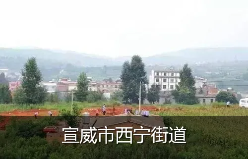 宣威市西宁街道